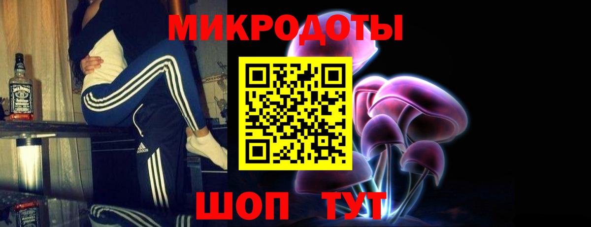 Псилоцибиновые грибы мицелий Тихвин